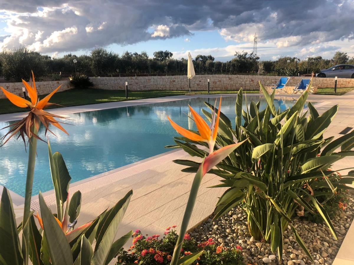 I Trulli di Gina Appartamento Trullo 6 persone Monopoli Esterno foto