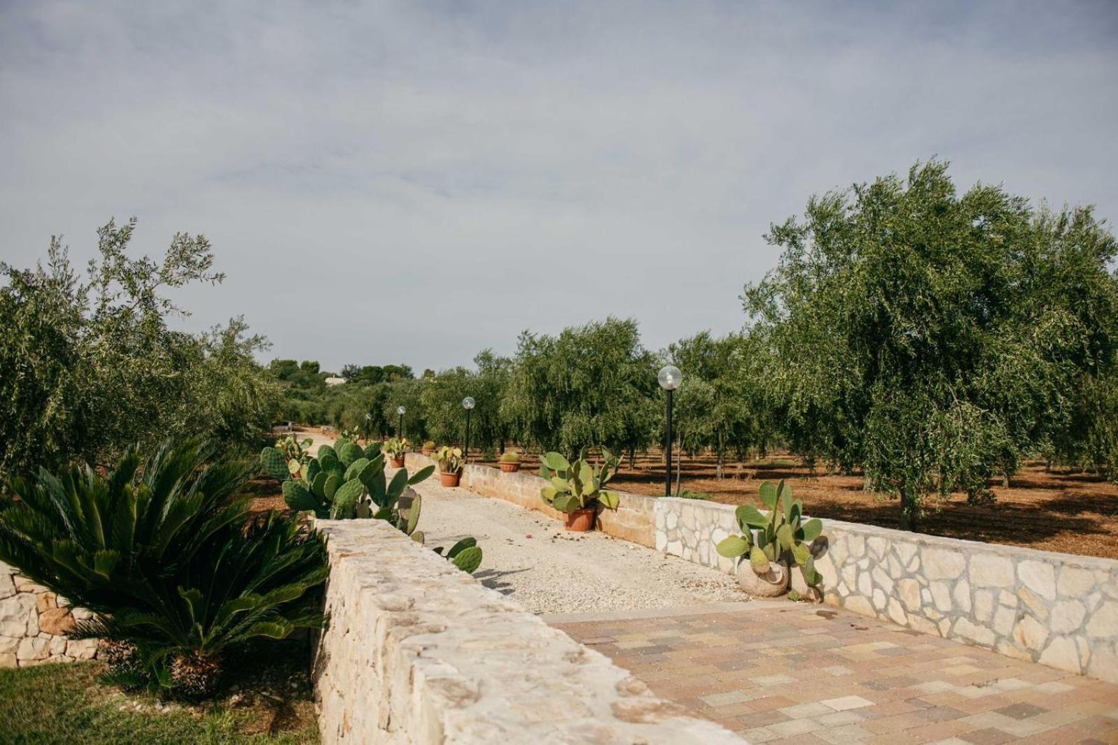 I Trulli di Gina Appartamento Trullo 6 persone Monopoli Esterno foto