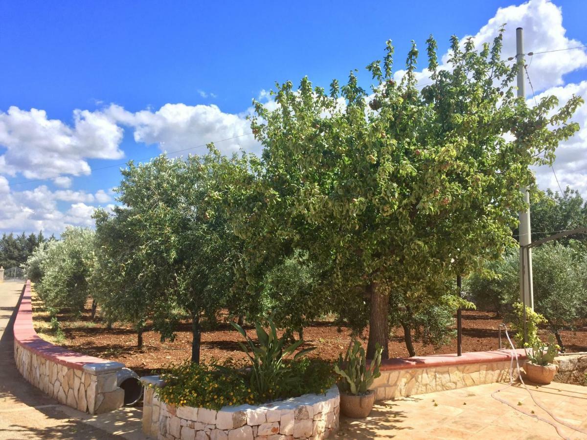I Trulli di Gina Appartamento Trullo 6 persone Monopoli Esterno foto